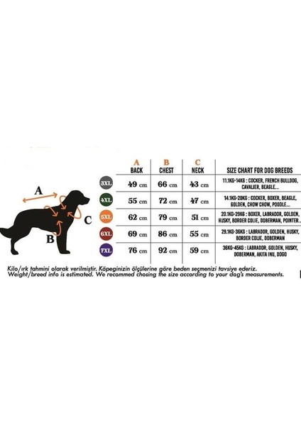 Çizgili Köpek Kazağı Siyah Pembe 3xl