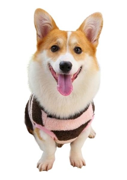 Çizgili Köpek Kazağı Siyah Pembe M