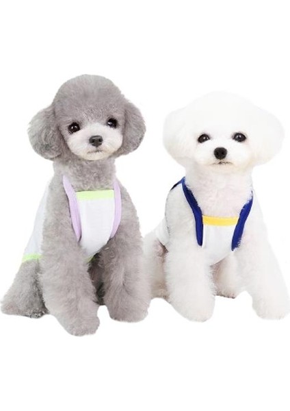 Bruch Desenli Köpek Kıyafeti Mavi M