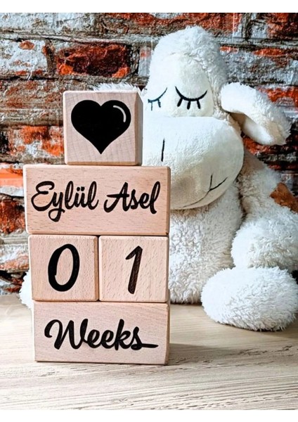 Fikirstore Anne Bebek Hatıra Fotoğraf Çekim Anı Küpleri (Ingilizce) Lazer Kazımalı Isimli 5'li Set modelleri