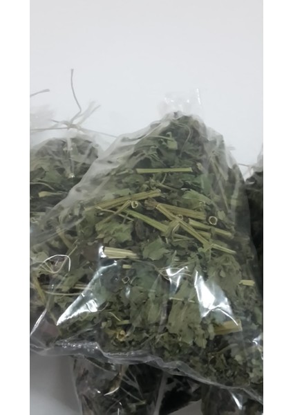 Isırgan Kurusu 100 gr