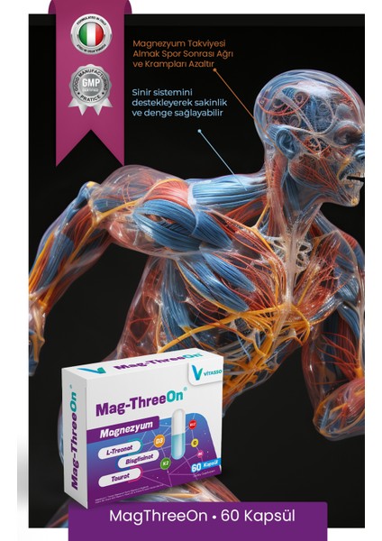 Magnezyum 3'lü Paket Magthreeon 60 Kapsül Yetişkinler Için Vitamin ve Magnezyum Gıda Takviyesi