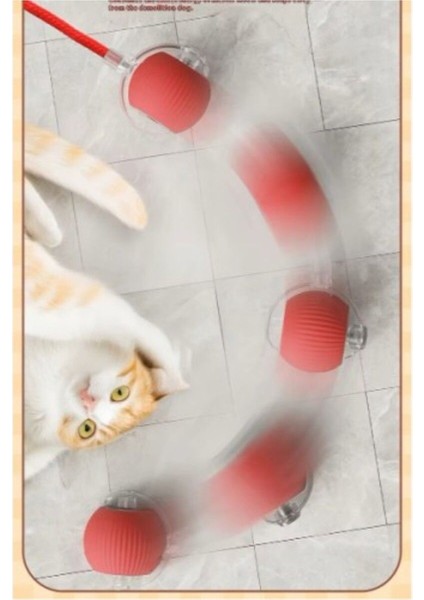 Şarjlı Kedi Oyuncağı modelleri