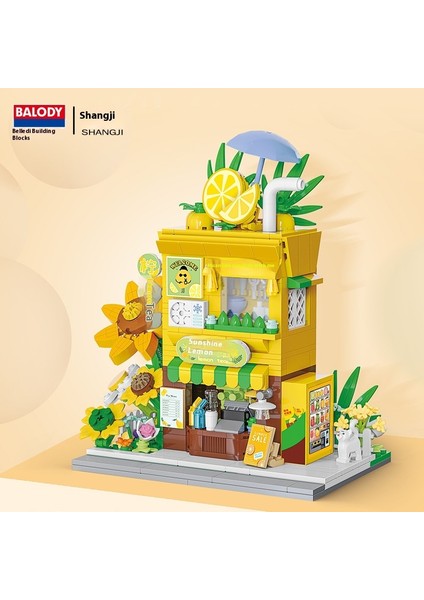 Sokak Sahnesi Yapı Taşı Oyuncakları Eğitici Montaj Modeli Süsleri ile Uyumlu Model Hediye (Yurt Dışından)