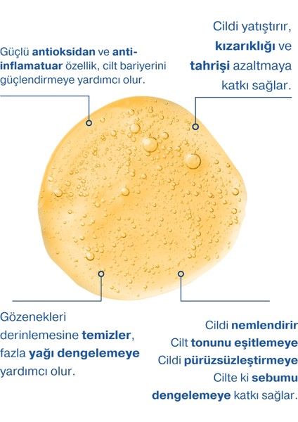 Anti Akne Serum - Pürüzsüzleştirici Etki, Vaccinium Myrtillus (Yaban Mersini), Aha & bha içerikli fiyatları