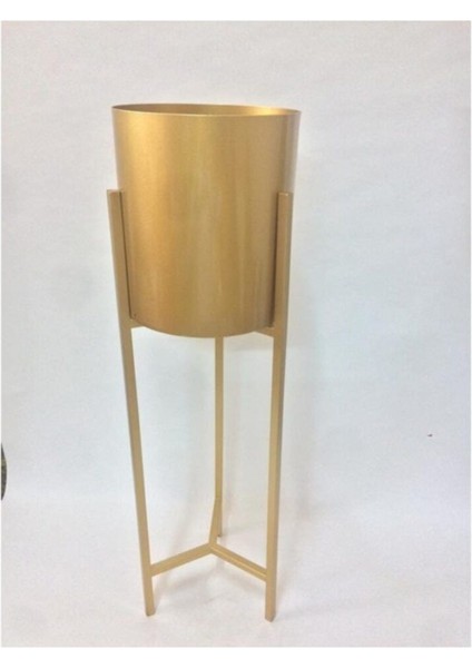 Seta Regina Decor Silindir Küçük Gold fiyatları