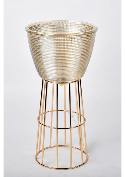 Seta Regina Decor Kase Modern Lınes Büyük Gold 33 cm