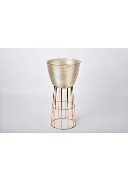 Seta Regina Decor Kase Modern Lınes Büyük Gold 33 cm
