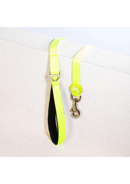 Neon Sarı Köpek Gezdirme Kayışı 120 cm x 2 cm