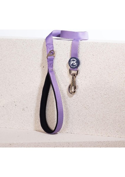 Lila Köpek Gezdirme Kayışı 120 cm x 2 cm