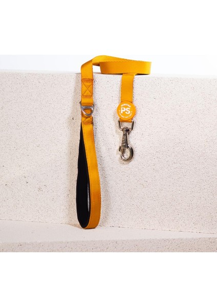 Gold Köpek Gezdirme Kayışı 120 cm x 2 cm