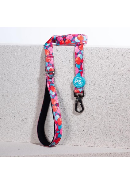 Balloons Köpek Gezdirme Kayışı 120 cm x 2 cm