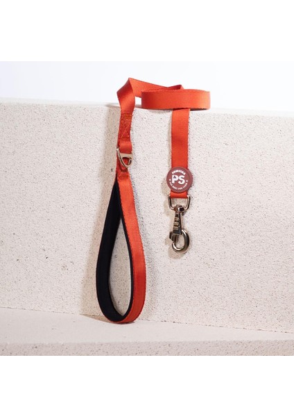 Kiremit Köpek Gezdirme Kayışı 120 cm x 2 cm