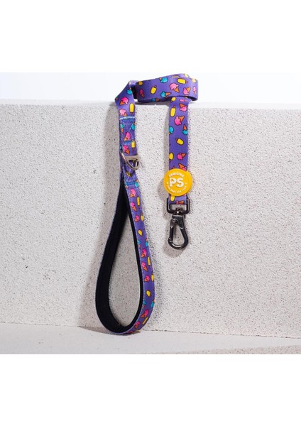 Ice Cream Köpek Gezdirme Kayışı 120 cm x 2 cm