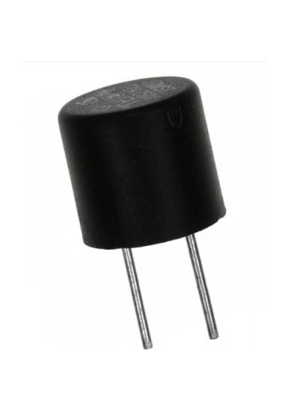 1A 250V Kondansatör Tip Sigorta (4887)