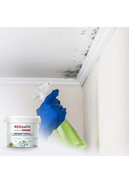 Rp-Redbacterial™ | Antibakteriyel Boya fiyatları