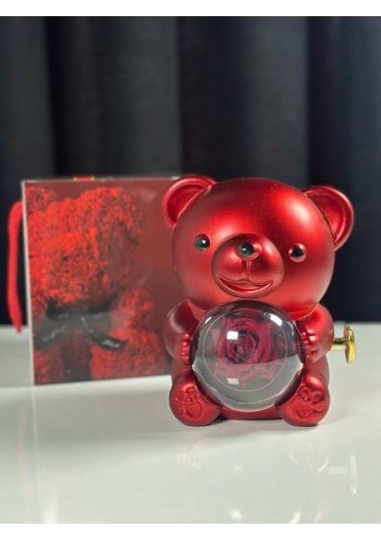 Işıklı Kutuda Çelik Sarılan Kolye Çift Sevgili Kolyesi