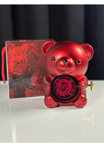 Işıklı Kutuda Çelik Sarılan Kolye Çift Sevgili Kolyesi fiyatları