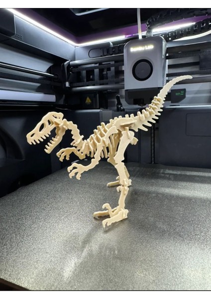 Dino Iskelet Kiti, Kendin Yap - Dinozor Iskeleti Kiti
