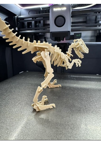 Dino Iskelet Kiti, Kendin Yap - Dinozor Iskeleti Kiti