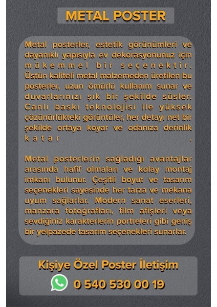 Diana , League Of Legend - Lol - Metal Poster Yüksek Kaliteli, Canlı ve Parlak Renkler
