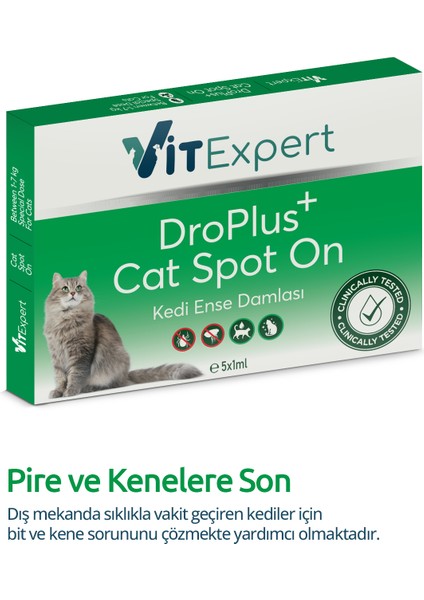 Kedi Ense Damla