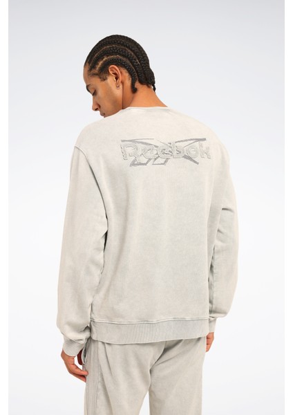 Welhe C Neck Gri Erkek Sweatshirt