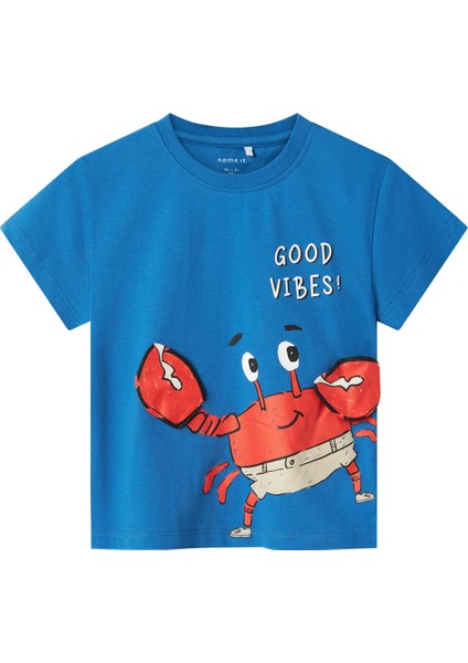 Nmmfısh Nreg Ss Top Box Mavi Erkek Çocuk Kısa Kol T-Shirt