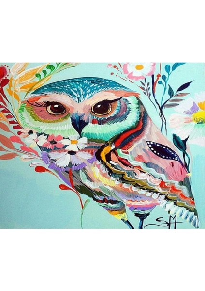 Kanvas Desenli Baykuş Sayılarla Boyama Seti Rulo