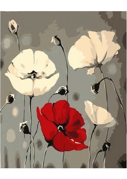 Kanvas Beyaz ve Kırmızı Gelincik Sayılarla Boyama Seti Rulo