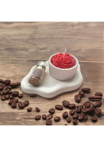 Dekoratif Bulut Tabak, Mini Beton Saksıda Soya Wax Şakayık Mum ve Cam Fanusta Çakmak Kağıtlı Kibrit