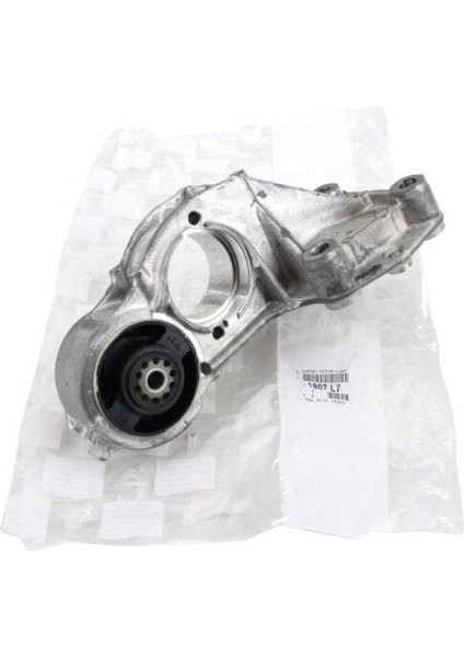 Peugeot 206 Motor Aks Kulağı