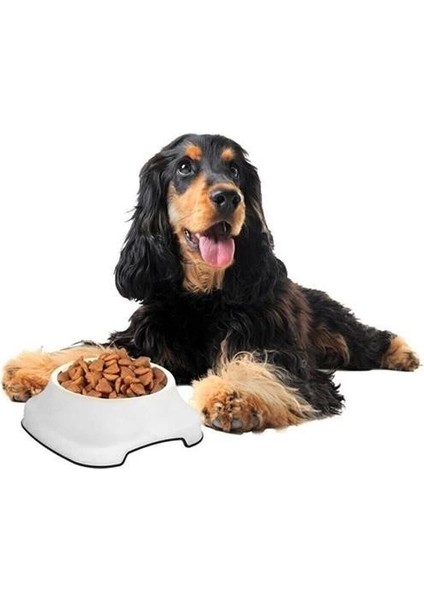 Hsyn Silikon Kaydırmaz Taban Plastik Kedi ve Köpek Mama ve Su Kabı 2 L Akdenizpos Yeni