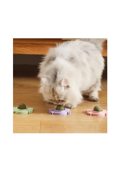Hsyn Yengeç Kedi Otu Oyun Topu Yeni