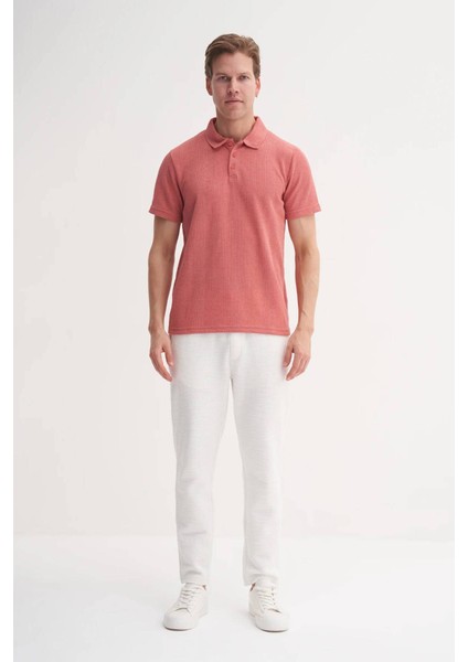 Erkek T-Shirt modelleri