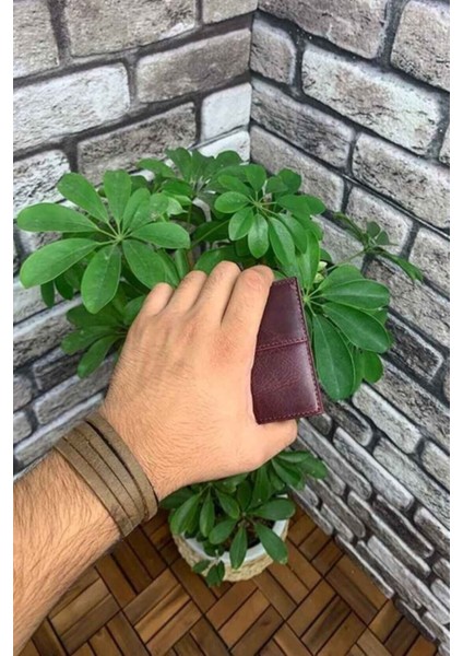 Deri Antik Yeşil Ince Klasik Erkek Cüzdanı (T1429)