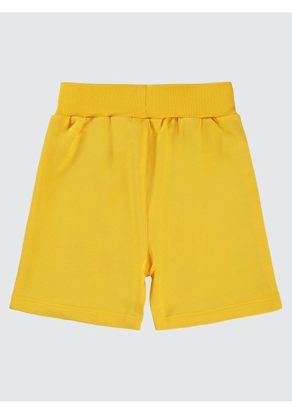 Erkek Çocuk Kapri 2-5 Yaş Sarı fiyatları