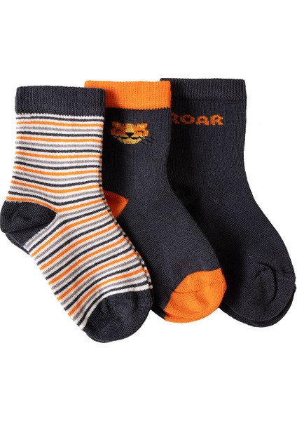Roar Desenli 3lü Soket Çorap Erkek Bebek