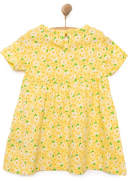 Basic Elbise fiyatları