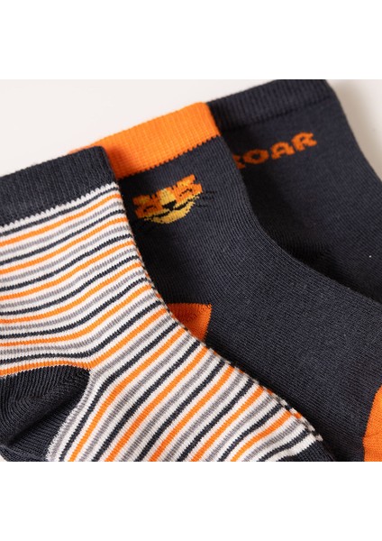 Roar Desenli 3lü Soket Çorap Erkek Bebek