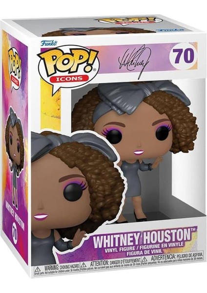 Pop Icons Whitney Houston 70