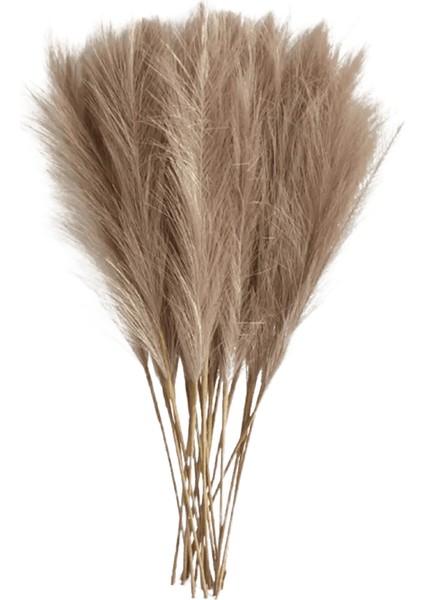 6 Adet Yapay Pampas Çim Dekor Çiçekler Dıy Çiçek Masa Düzenlemek Sahte Bitki Kamış Çiçek Düğün Ev Noel Dekorasyon Kahve / Boyut6 Adet Paket (Yurt Dışından)