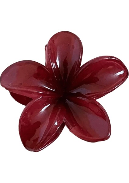 Gradyan Kübik Plumeria Saç Pençeleri Saç Teslim Ins Stil Yüksek At Kuyruğu Tutucu Ette Tatlı Köpekbalığı Klipleri Parti Aksesuar Style2 (Yurt Dışından)