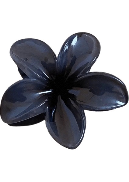 Gradyan Kübik Plumeria Saç Pençeleri Saç Pençesi Ins Stil Yüksek At Kuyruğu Tutucu Ette Tatlı Köpekbalığı Klipler Parti Style3 (Yurt Dışından)