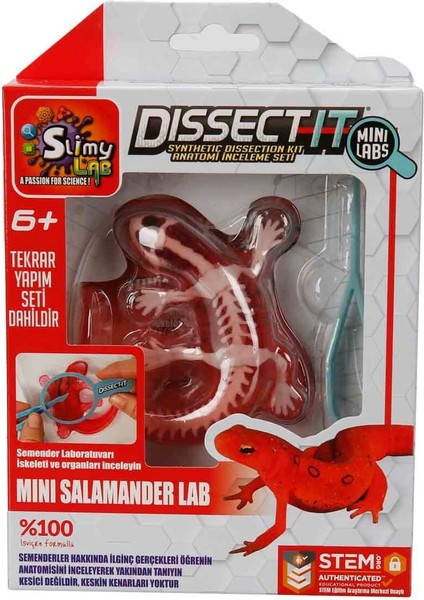 Lab Mini Semender Laboratuvarı