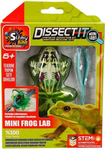 Lab Mini Kurbağa Laboratuvarı