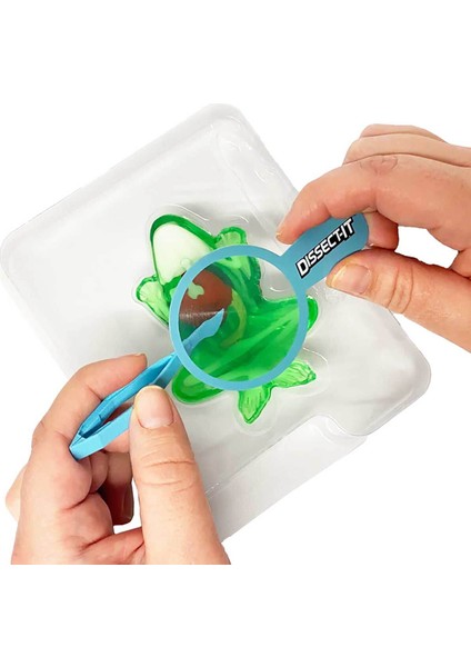 Lab Mini Kurbağa Laboratuvarı fırsatları