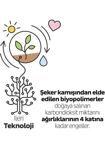Bio Natural Premium Plus Günlük Ped Uzun 12X32=384 Adet Ped