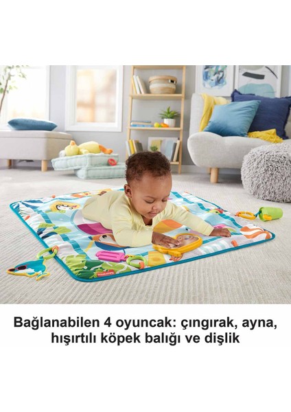 Havuz Keyfi Oyun Minderi GRR44