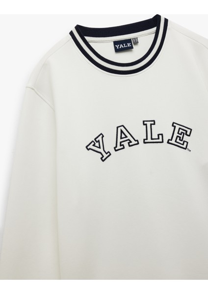 Uzun Kollu Çizgi Detaylı Bisiklet Yaka Lisanslı Yale Baskılı Sweatshirt indirimleri